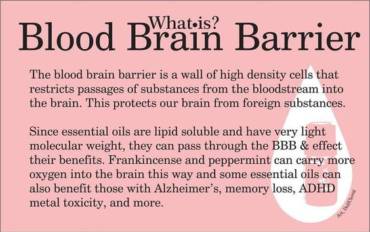 What is the Blood Brain Barrier Wall?